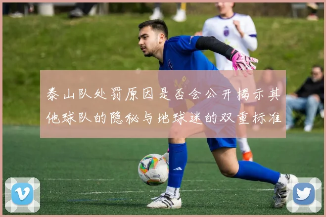 泰山队处罚原因是否会公开揭示其他球队的隐秘与地球迷的双重标准